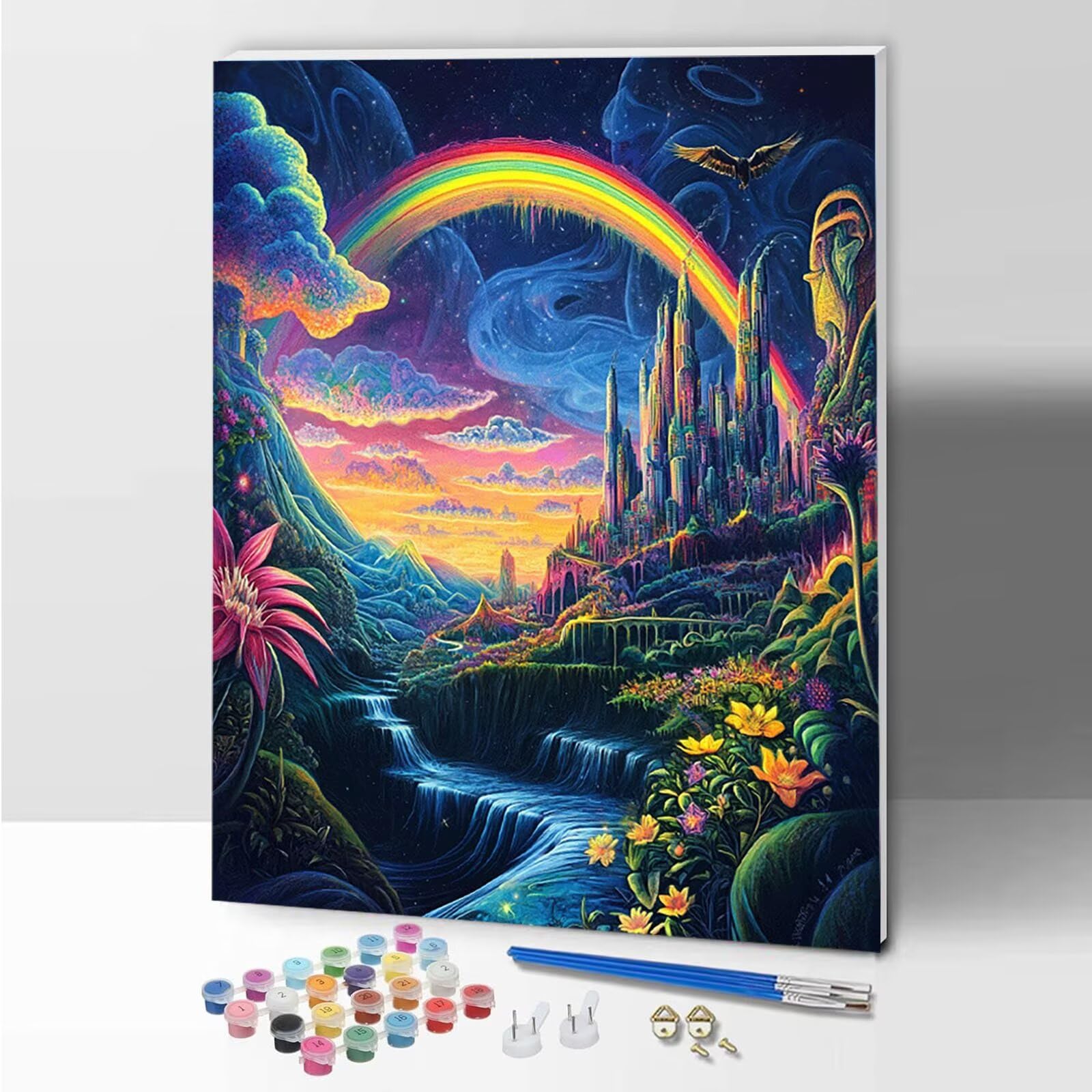 Amazon.com: Rainbow Paint by Numbers Kit for Adults Beginner, DIY